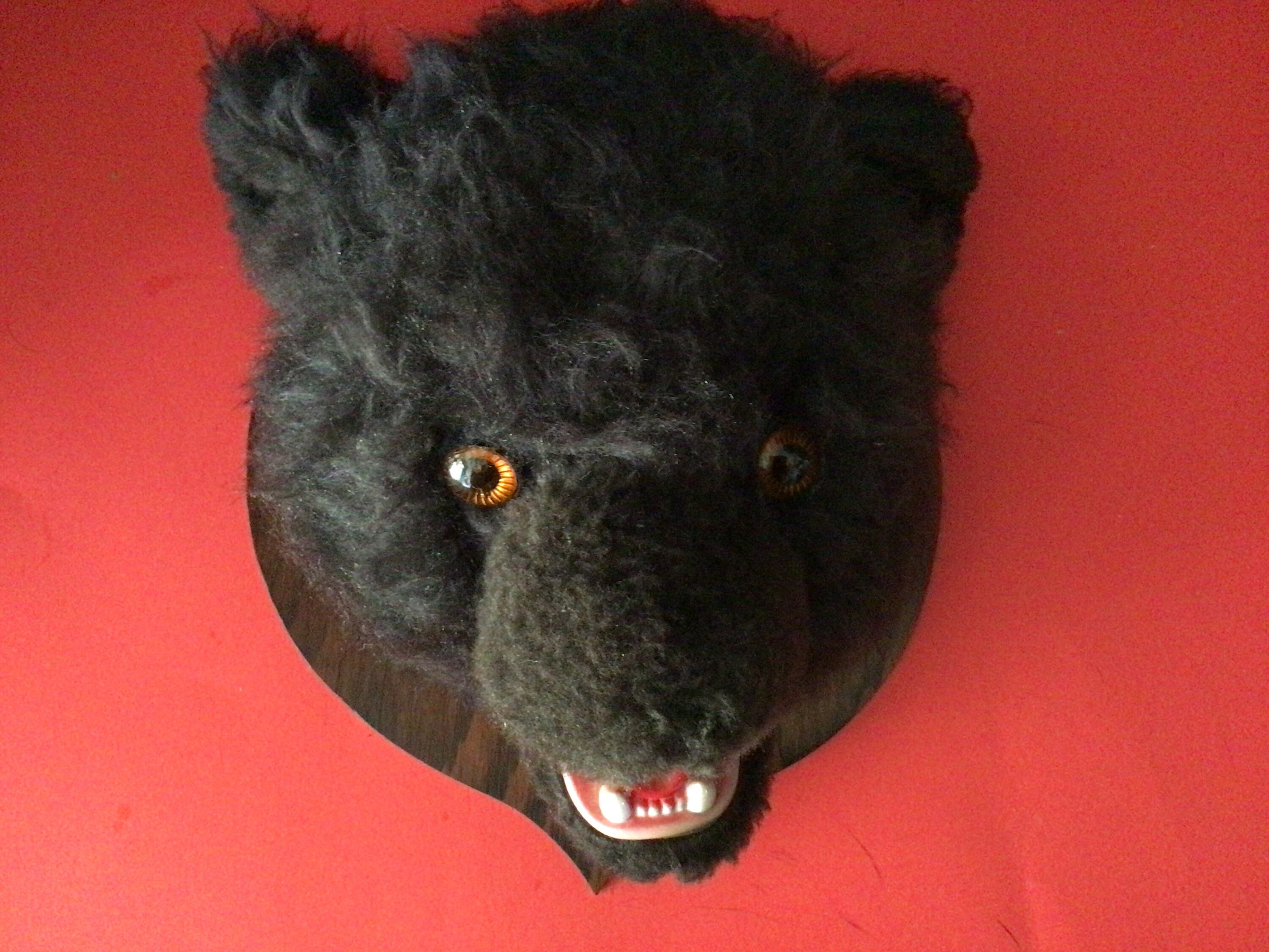 Mounted Toy Grizzly Head