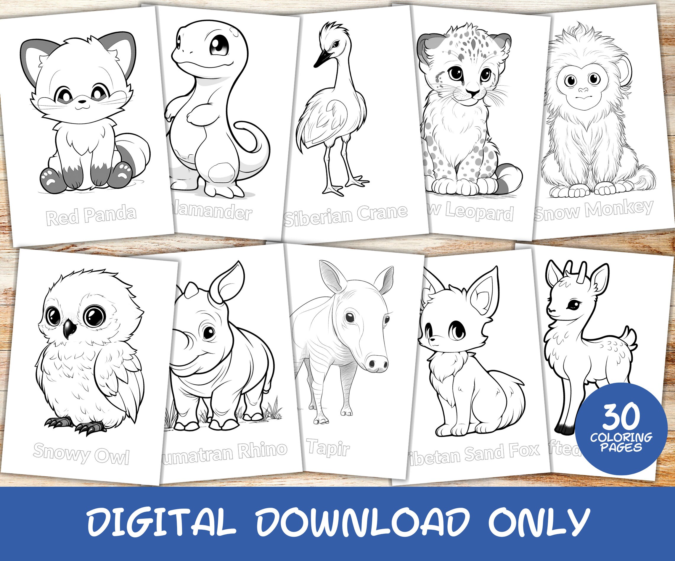 30 World Animals Asia Coloring Pages Book With Names, Kids, Instant
