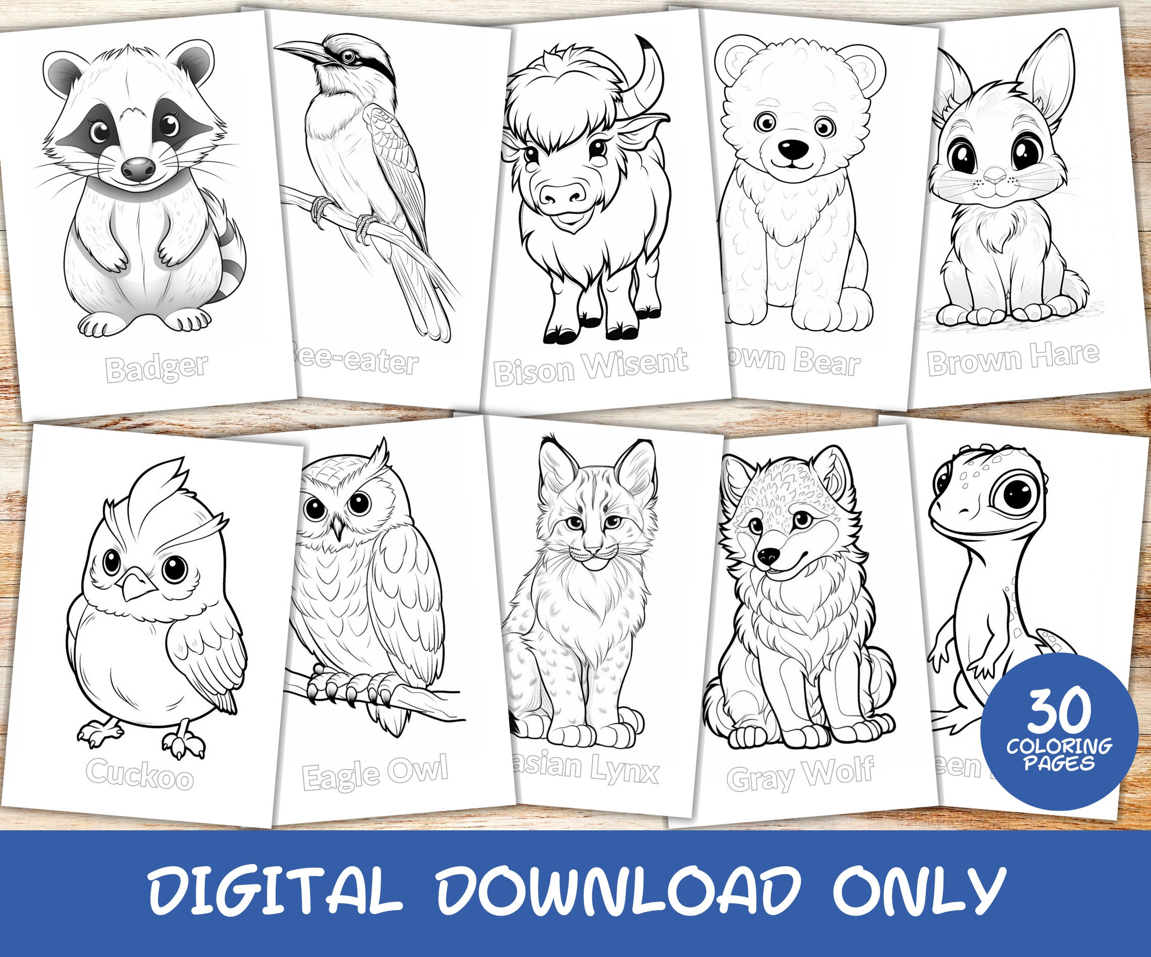 30 World Animals Europe Coloring Pages Book With Names, Kids, Instant