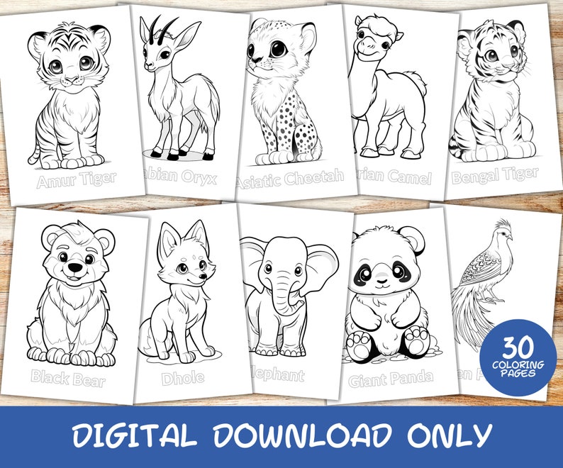 30 World Animals Asia Coloring Pages Book With Names, Kids, Instant
