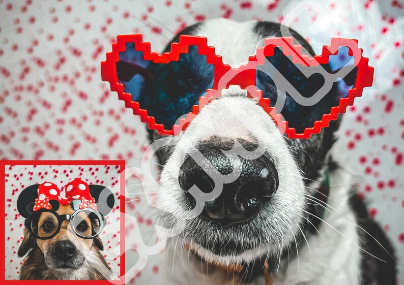 Pet Calendar 2024 Printable digital File Etsy