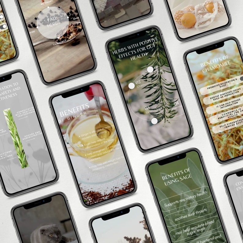 May include: A collage of nine phone screens displaying information about the benefits of various herbs. The herbs featured are chamomile, ginger, sage, and autumn herbs. Each screen has a green background with a white text overlay.