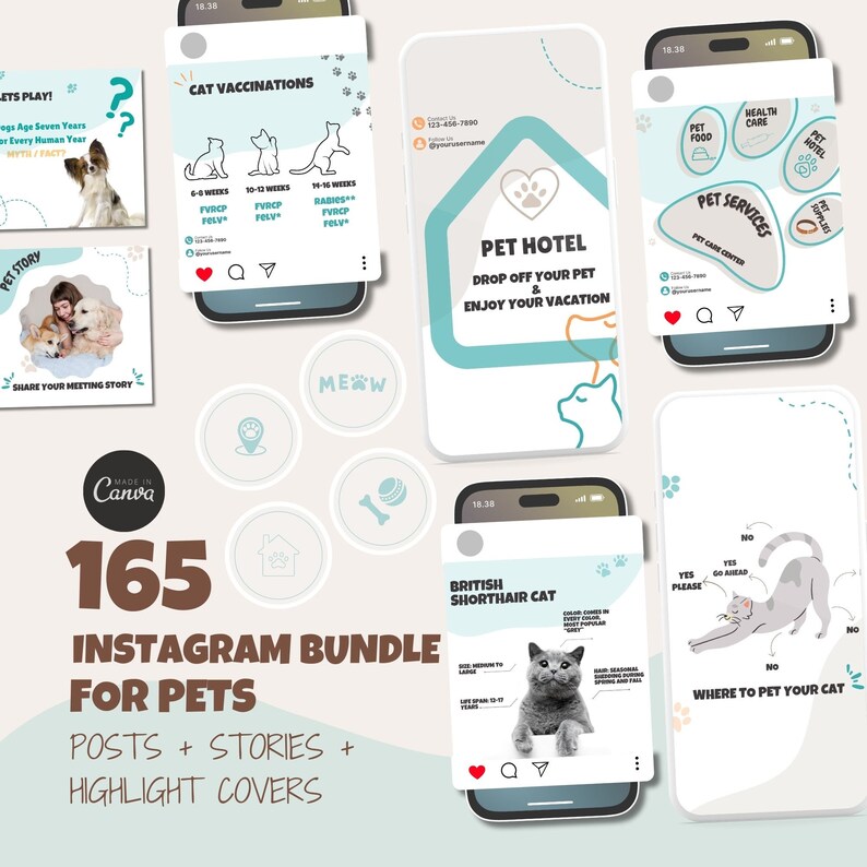 Pet Instagram Post Template Social Media Bundle for Pet Shop Etsy
