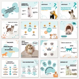 May include: A sixteen-panel grid of educational social media graphics featuring dogs and cats. The panels include text, illustrations, and photos detailing pet facts, health care services, grooming routines, and breed information on light blue backgrounds.