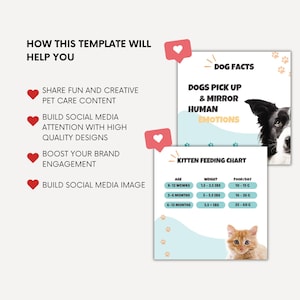 May include: A digital social media template set featuring pet care content. Text includes HOW THIS TEMPLATE WILL HELP YOU, DOG FACTS, DOGS PICK UP & MIRROR HUMAN EMOTIONS, and KITTEN FEEDING CHART with age, weight in lbs, and food per day in grams.