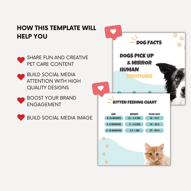 May include: A digital social media template set featuring pet care content. Text includes HOW THIS TEMPLATE WILL HELP YOU, DOG FACTS, DOGS PICK UP & MIRROR HUMAN EMOTIONS, and KITTEN FEEDING CHART with age, weight in lbs, and food per day in grams.