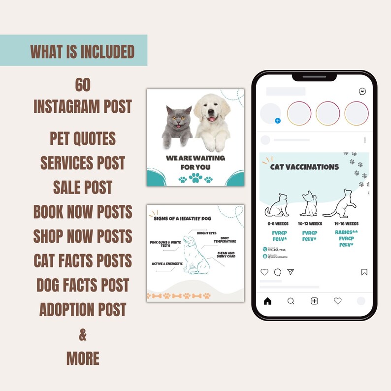 Pet Instagram Post Template Social Media Bundle for Pet Shop Etsy