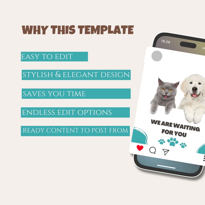 Pet Instagram Post Template Social Media Bundle for Pet Shop Etsy