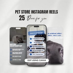 Pet Store Instagram Reels Template, Pet Shop Social Media Reels, Dog Videos, Cat Shorts, Pet Sitter Business IG Reels, Vet Marketing IG Post
