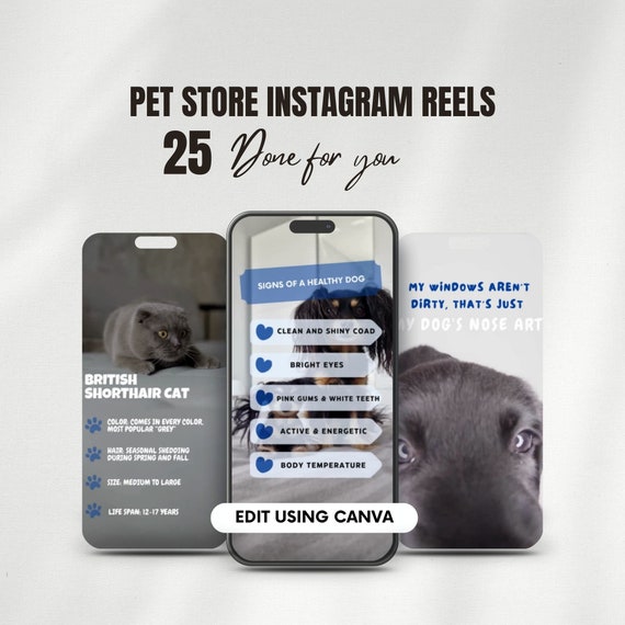 Pet Shop Instagram Reels Template, Vet Clinic Social Media Marketing Videos
