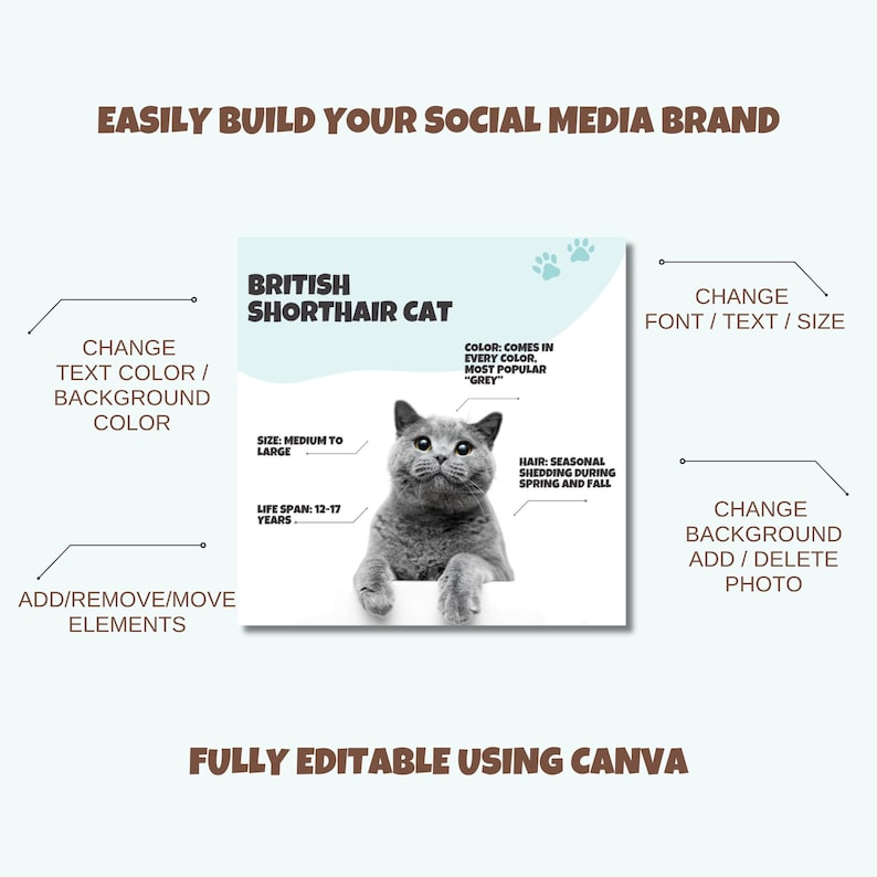 Pet Store Instagram Template, Pet Shop Social Media Content for Pet