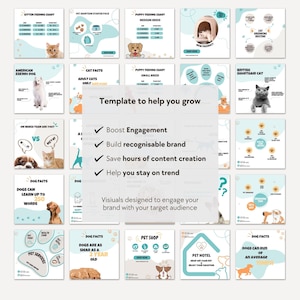 May include: A digital collection of social media templates for pet businesses, featuring light blue and white backgrounds with illustrations of cats and dogs, informational charts, and text overlays like Template to help you grow and Boost Engagement.
