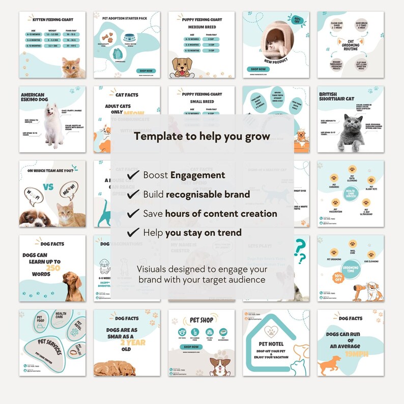May include: A digital collection of social media templates for pet businesses, featuring light blue and white backgrounds with illustrations of cats and dogs, informational charts, and text overlays like Template to help you grow and Boost Engagement.