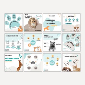 May include: A set of twelve square social media templates featuring pet care information, including illustrations of cats and dogs, paw print graphics, and text detailing grooming routines, pet facts, vaccination schedules, and pet shop services.