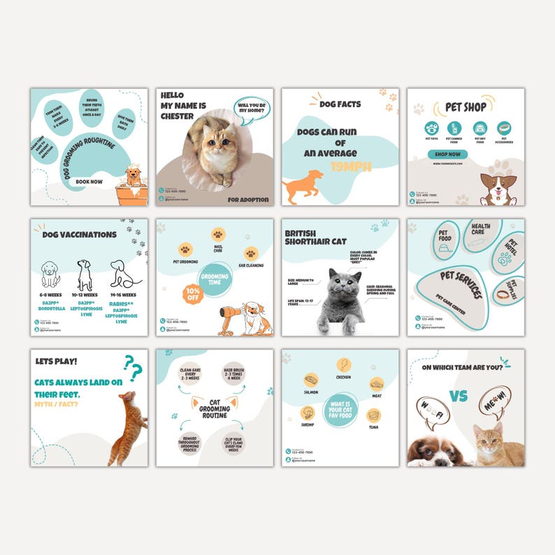 May include: A set of twelve square social media templates featuring pet care information, including illustrations of cats and dogs, paw print graphics, and text detailing grooming routines, pet facts, vaccination schedules, and pet shop services.