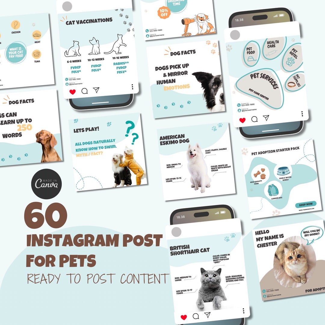 Pet Store Instagram Template, Pet Shop Social Media Content, Pet