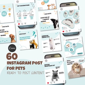 Pet Shop Business Instagram Post Template, Pet Store Social Media Marketing Content, Vet Clinic IG Post, Pet Sitter Branding, Pet Grooming