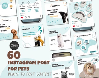 Pet Store Instagram Template, Pet Shop Social Media Content For Pet Clinics, Pet Business Post Template, Pet Sitter IG Posts, Pet Care Post