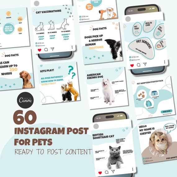 Pet Instagram Post Template, Pet Shop Business Social Media Marketing Vet Clinic Content IG Branding Kit