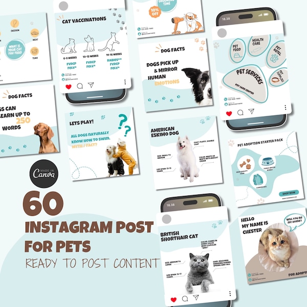 Pet Store Instagram Template, Pet Shop Social Media Content For Pet Clinics, Pet Business Post Template, Pet Sitter IG Posts, Pet Care Post