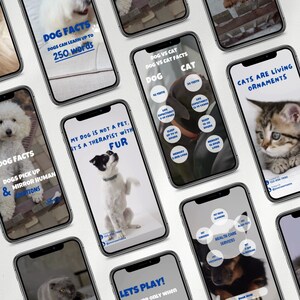 以下が含まれることがあります： 犬と猫の画像をコラージュしたもので、それぞれの動物に関する楽しい事実が書かれています。画像には、白い犬、白黒の犬、茶白の犬、灰色の猫、茶トラの猫が含まれています。テキストには、歯の数、寿命、睡眠の習慣、記憶に関する事実が記載されています。