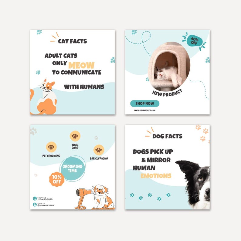 May include: A set of four square social media graphics featuring pet-related content. The designs include illustrations of a cat and dog, text about cat and dog facts, grooming service icons, a cat in a tree house, and contact information.