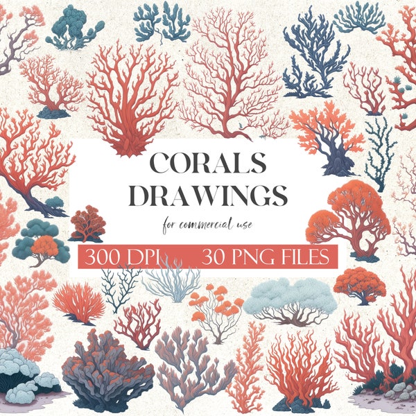 Vibrant Coral Drawings Clipart Pack | Ocean Inspired Illustrations | Marine Life Elements | Nautical Artwork | Commercial Use | 30 PNG