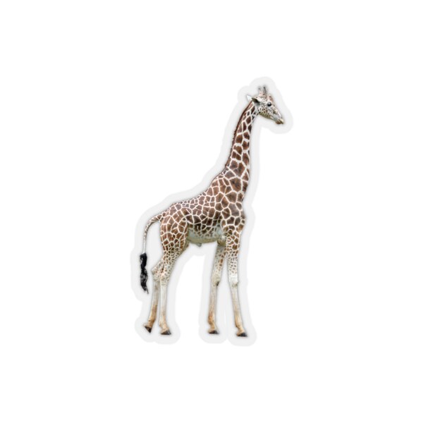 Realistic Giraffe Vinyl Decal