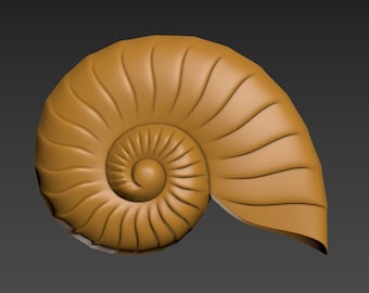 SeaShell. Relief. 3D Print Model. STL. CNC. Shell.