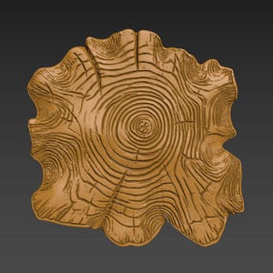 May include: A close-up of a wooden tree slice with a natural brown color and a detailed grain pattern. The center of the slice shows concentric rings, resembling a tree's growth rings.