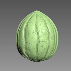 Nut Shell 3D print model. STL file.