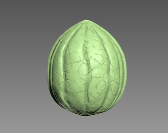 Nut Shell 3D print model. STL file.