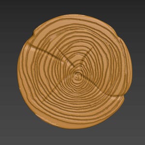 May include: A close-up of a wooden cross-section, showing the concentric rings of a tree trunk. The rings are a light brown color and have a slightly textured surface.