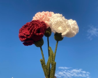 Crochet Carnation Flower Pattern: Easy Step-by-Step PDF Tutorial