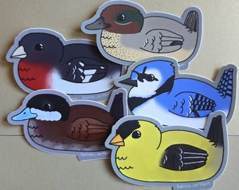 Bird Stickers