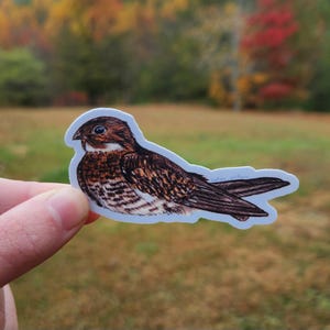 May include: A brown and white bird sticker with a light blue background. The bird is facing left and has its wings spread out. The sticker is about 3 inches long.