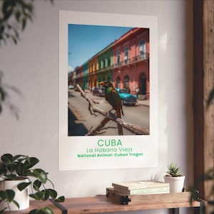 Puede incluir: Un póster con una imagen de un Trogón cubano posado en una rama, con edificios coloridos al fondo. El póster incluye el texto "CUBA La Habana Vieja National Animal: Cuban Trogon."