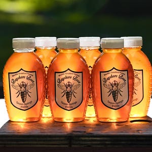 Florida Bayshore Bees Honey: Natural Unfiltered Raw Honey, 6 lbs