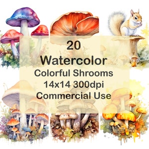 Ensemble de 20 cliparts aquarelle champignon, chapeaux d'été champignons automne, PNG, 12 x 12 300 dpi, téléchargement immédiat, usage Commercial