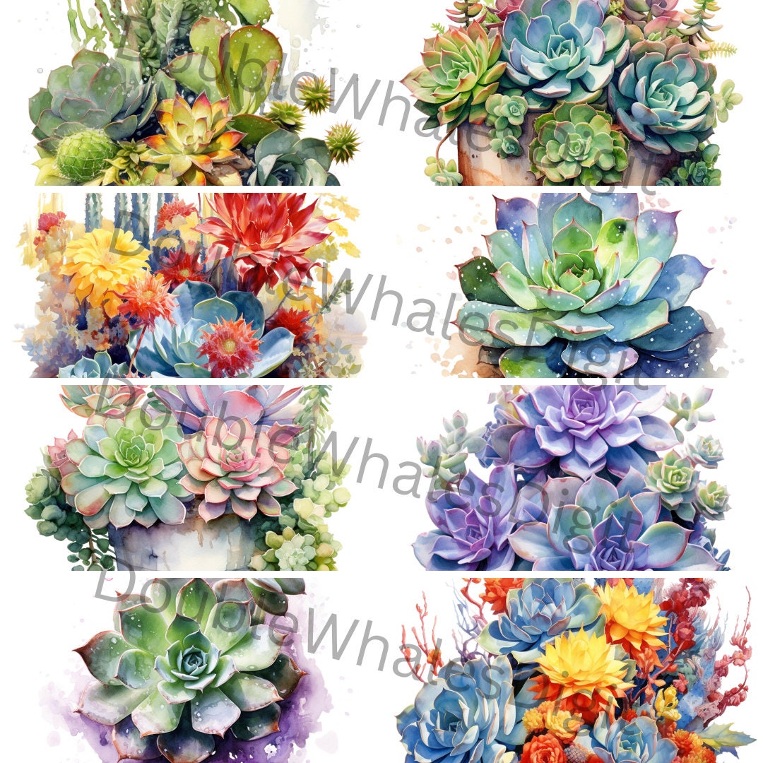 Watercolor Succulents Clipart Set of 20, Fall Flowers, Summer Flowers ...