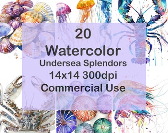Watercolor Crustacean Seafood Clipart Set of 20, Crustacean Seafood Ocean Creature, PNG, 12x12 300dpi, Instant Download, Commercial Use