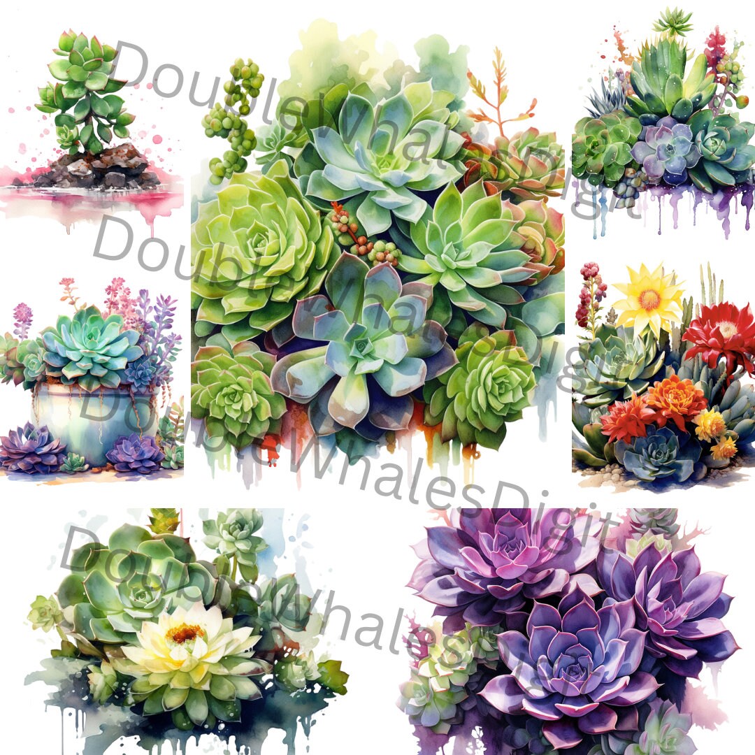 Watercolor Succulents Clipart Set of 20, Fall Flowers, Summer Flowers ...