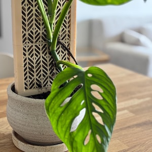 CLIMBIT – Modular Self-Watering Moss Pole System - 3D Print STL Files