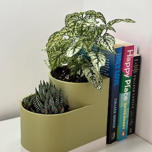 Peut inclure: Un pot à deux niveaux vert olive avec une base blanche, contenant deux plantes différentes. Le niveau supérieur contient une plante aux feuilles vertes mouchetées de blanc. Le niveau inférieur contient une plante succulente. Des livres sont visibles à droite.