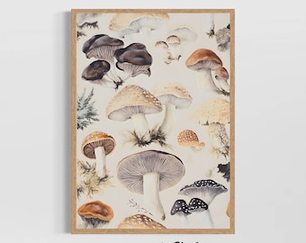 Botanische paddestoelprint, vintage schimmelkunst aan de muur, rustiek Cottagecore-natuurdecor, poster boskeuken, op bos geïnspireerd huisaccent