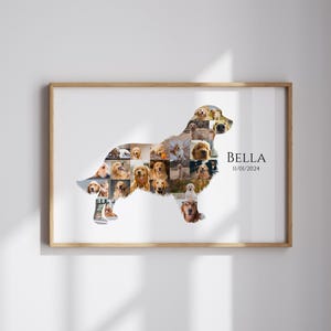 Custom Dog Photo Collage Canva Template Golden Retriever Picture Collage Golden Retriever Memorial Sign Printable Pet Loss Memorial Gift