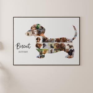 May include: A framed print with a dachshund dog silhouette composed of multiple dog photographs. The name "Biscuit" is written in cursive, with the date "02/17/2025" below. The background is plain white.