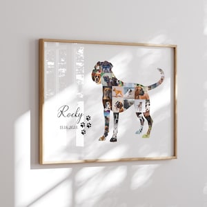 Puede incluir: Un collage de fotos de un perro con la forma de un boxer. El collage está en un marco blanco con un borde de madera. El nombre del perro, "Rocky", y la fecha "13.06.2023" están escritos debajo del collage.