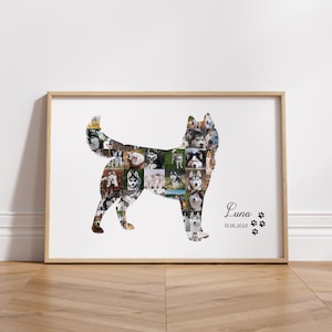 Personalised Pet Photo Collage Template Husky Dog Photo Collage Husky Gift Custom Pet Memorial Gift Dog Huskie Dog Mom Gift Husky Art