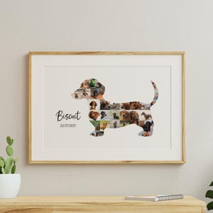 May include: A framed print with a dachshund shape composed of various dog photographs. The name "Biscuit" and the date 02/17/2025 are written in cursive. The artwork is presented within a wooden frame, enhancing its visual appeal.